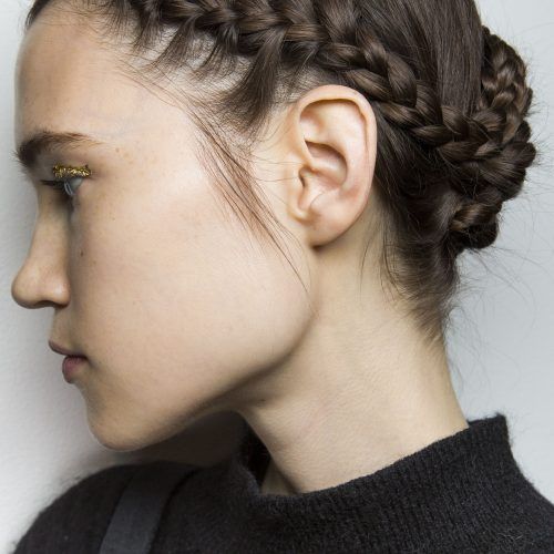 Back And Forth Skinny Braided Hairstyles (Photo 11 of 20)