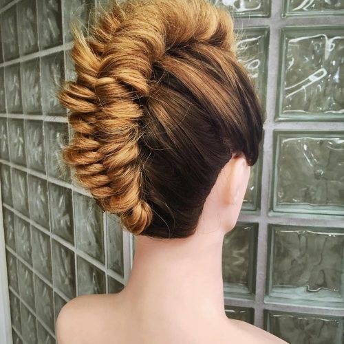 Fiercely Braided Hairstyles (Photo 13 of 15)