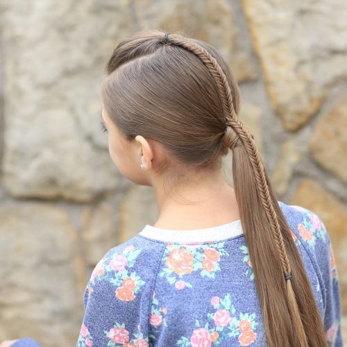Pony Hairstyles With Accent Braids (Photo 18 of 20)