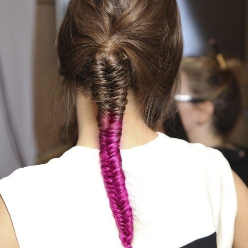 Two French Braids And Side Fishtail (Photo 15 of 15)