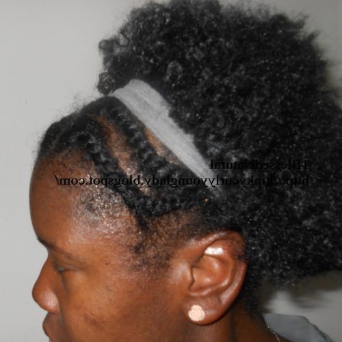 Reverse Flat Twists Hairstyles (Photo 15 of 15)