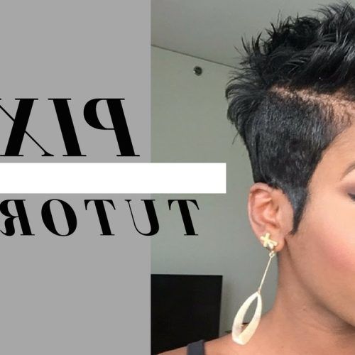 Short Black Hairstyles With Tousled Curls (Photo 11 of 20)