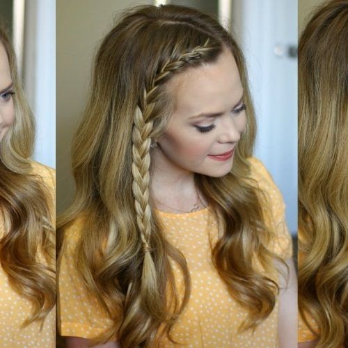 Pony Hairstyles With Accent Braids (Photo 11 of 20)