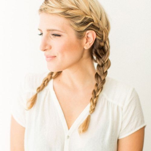 Braided Pigtails (Photo 6 of 15)