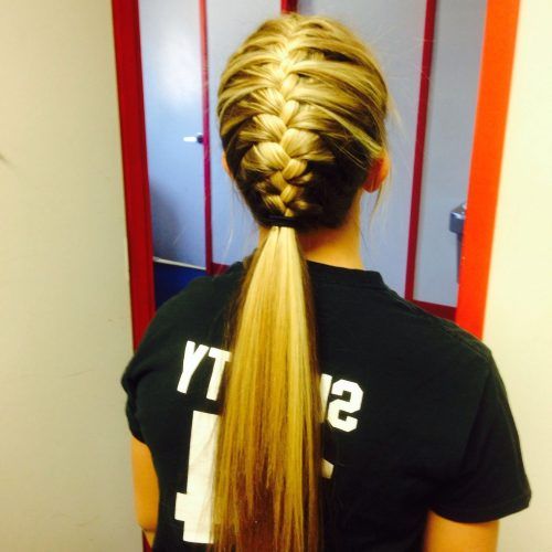 Trendy Ponytail Hairstyles With French Plait (Photo 14 of 20)