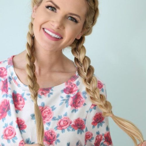 Pigtails Braided Hairstyles (Photo 12 of 15)