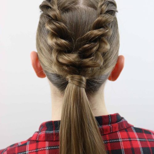 Twist-Into-Ponytail Hairstyles (Photo 11 of 20)