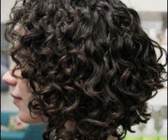 15 Photos Inverted Bob Haircut for Curly Hair