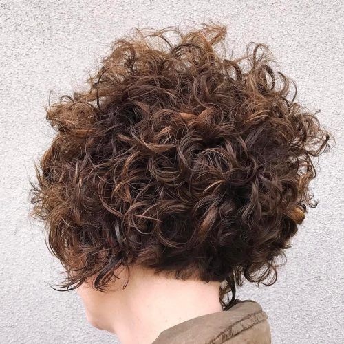 Stacked Curly Bob Hairstyles (Photo 5 of 20)
