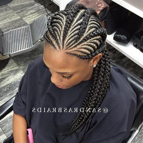 Thick Plaits And Narrow Cornrows Hairstyles (Photo 6 of 20)