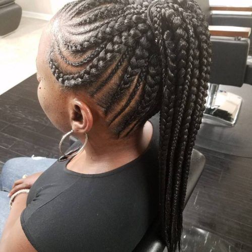 Ponytail Braid Hairstyles With Thin And Thick Cornrows (Photo 1 of 20)
