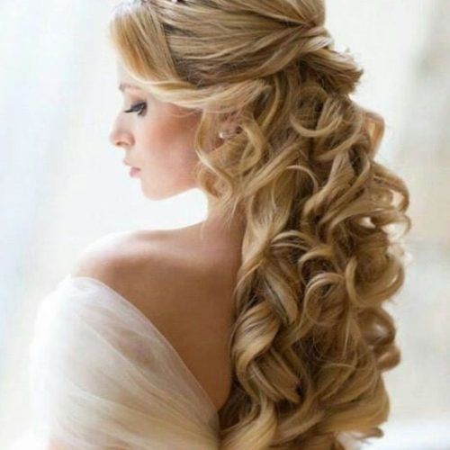Glamorous Wedding Hairstyles For Long Hair (Photo 13 of 15)