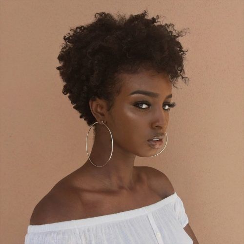 Short Black Pixie Hairstyles For Curly Hair (Photo 10 of 20)