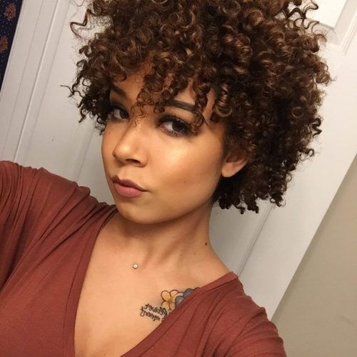 Long Curly Pixie Hairstyles (Photo 15 of 20)