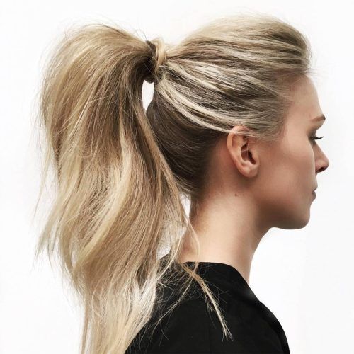 Intricate Updo Ponytail Hairstyles For Highlighted Hair (Photo 14 of 20)