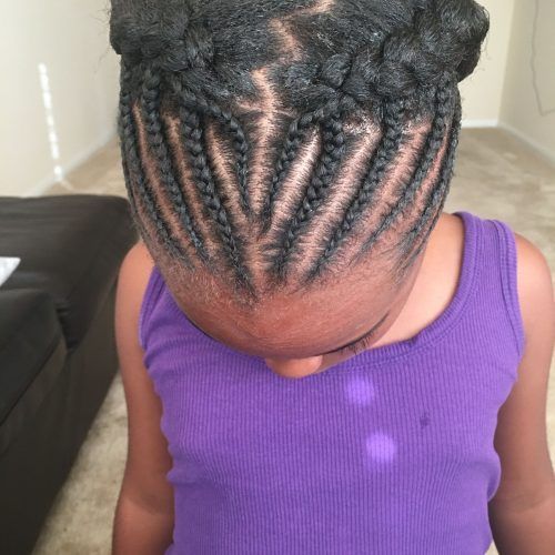 Cornrows Hairstyles Without Extensions (Photo 9 of 15)
