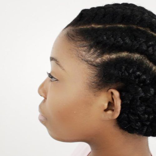 Pinned Up Braided Hairstyles (Photo 14 of 15)