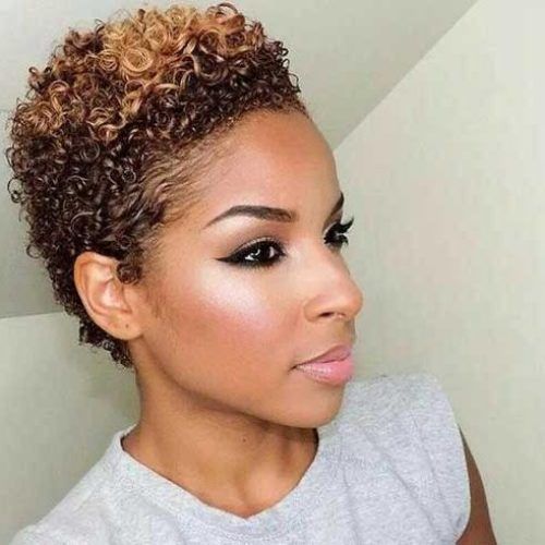 Short Haircuts For Black Women Natural Hair (Photo 17 of 20)