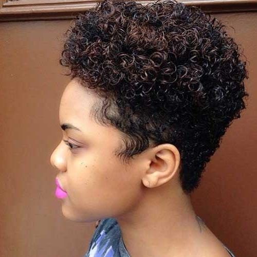 Afro Short Hairstyles (Photo 14 of 20)