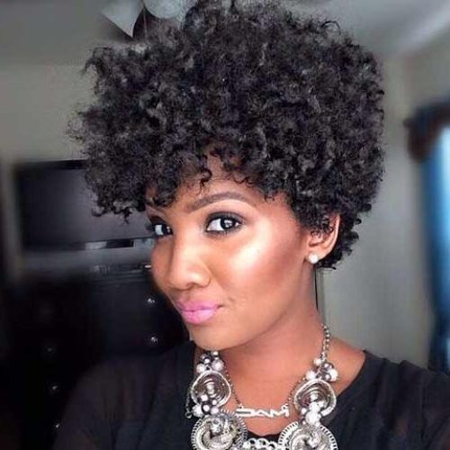 Short Hairstyles For Natural Black Hair (Photo 2 of 20)
