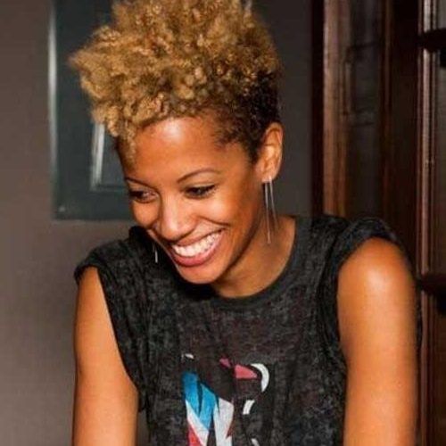 Short Haircuts For Black Women With Natural Hair (Photo 17 of 20)