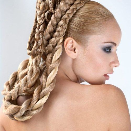 Grecian-Inspired Ponytail Braided Hairstyles (Photo 7 of 20)