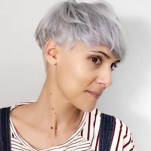 Gray Short Pixie Cuts (Photo 6 of 20)