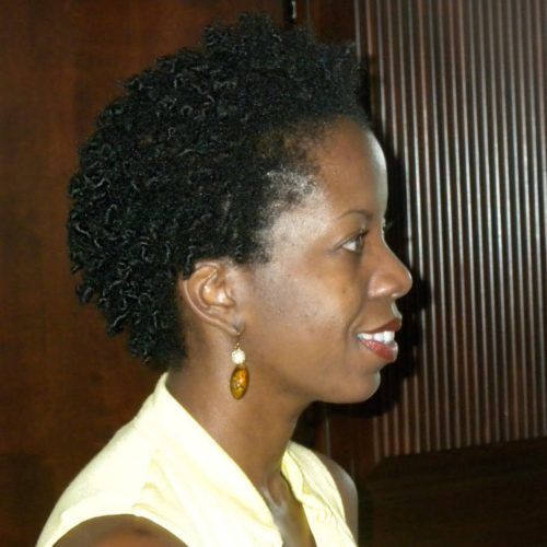 Black Women Natural Medium Haircuts (Photo 17 of 20)