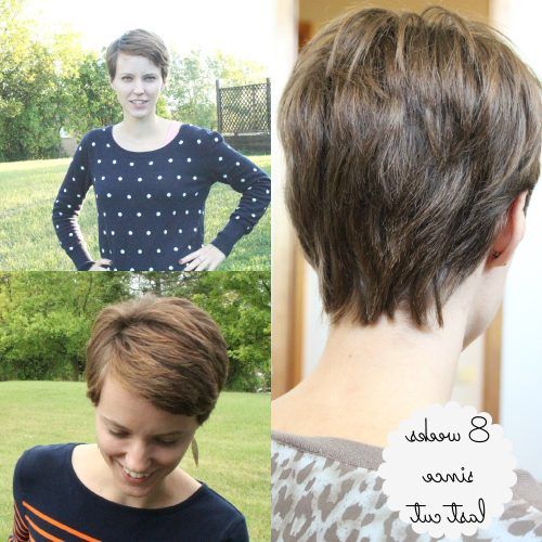 Growing-Out Pixie Hairstyles For Curly Hair (Photo 16 of 20)