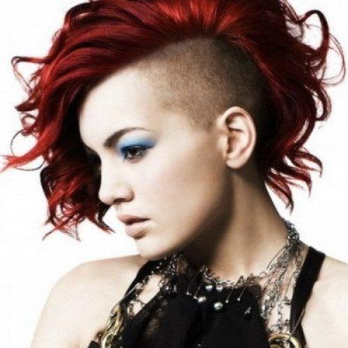 Gray Faux Hawk Hairstyles (Photo 14 of 20)
