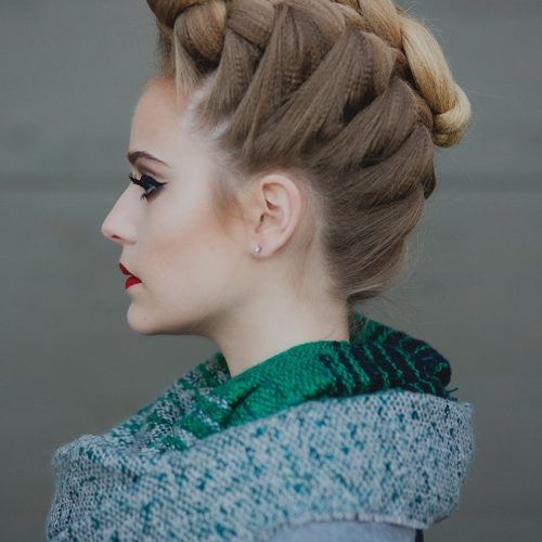 Curly Pony Hairstyles With A Braided Pompadour (Photo 1 of 20)