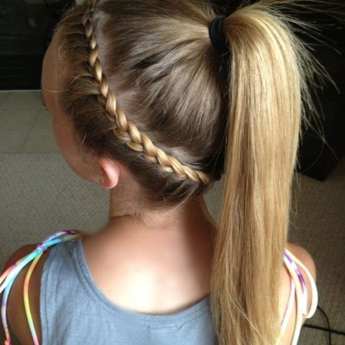 Braided Maze Low Ponytail Hairstyles (Photo 2 of 20)