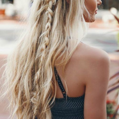 Blonde Accent Braid Hairstyles (Photo 3 of 20)