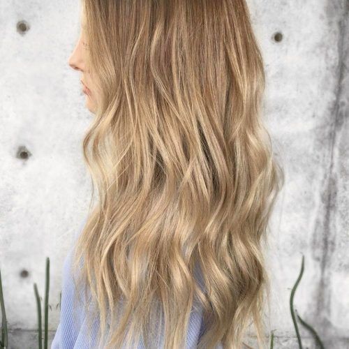 Subtle Brown Blonde Ombre Hairstyles (Photo 2 of 20)