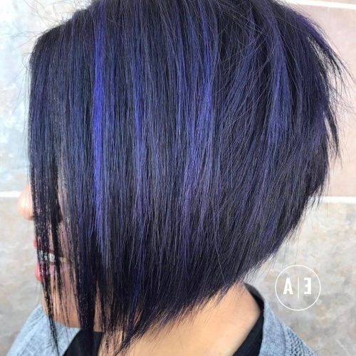 Medium Angled Purple Bob Hairstyles (Photo 9 of 20)