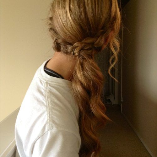 Fabulous Formal Ponytail Hairstyles (Photo 15 of 20)