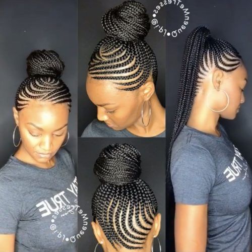 Braided Mohawk Pony Hairstyles With Tight Cornrows (Photo 13 of 20)