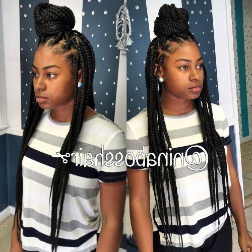 Poetic Justice Braids Hairstyles (Photo 10 of 15)