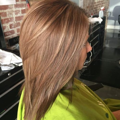 Light Brown Hairstyles With Blonde Highlights (Photo 15 of 20)