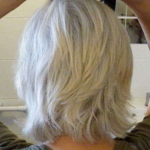 Medium Silver Layers Hairstyles (Photo 8 of 20)