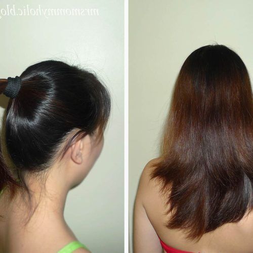 Ponytail Layered Long Hairstyles (Photo 9 of 20)