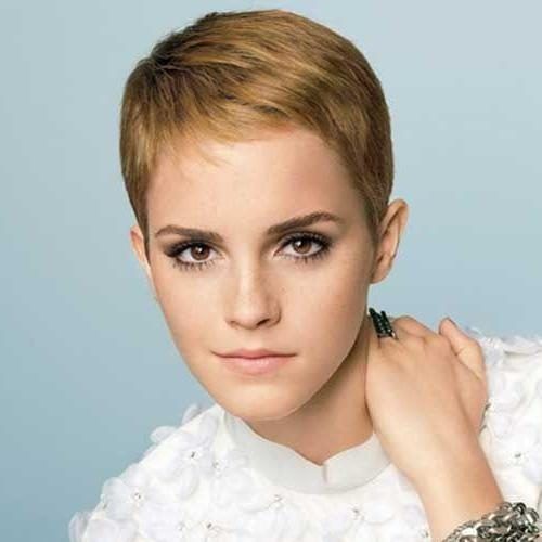 Short Pixie Haircuts For Oval Faces (Photo 15 of 20)