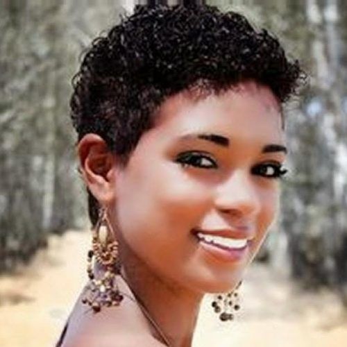 Short Haircuts For Curly Black Hair (Photo 16 of 20)