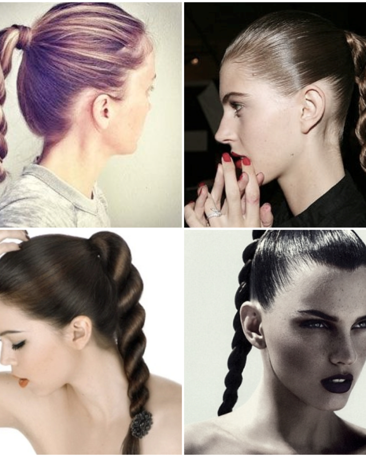 20 Best Collection of High Rope Braid Hairstyles