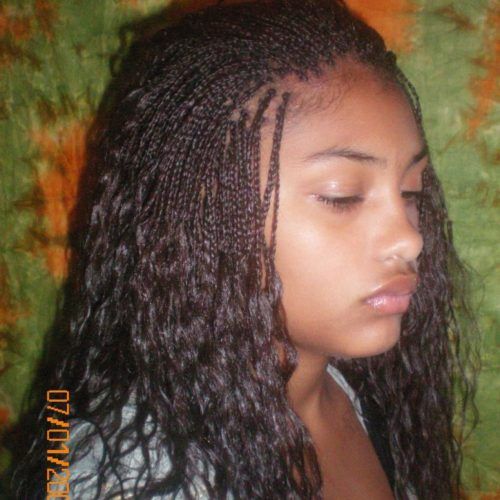 Micro Braid Hairstyles With Curls (Photo 6 of 20)