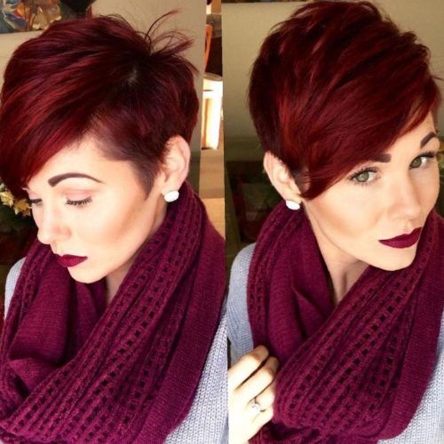 Plum Brown Pixie Haircuts For Naturally Curly Hair (Photo 14 of 20)