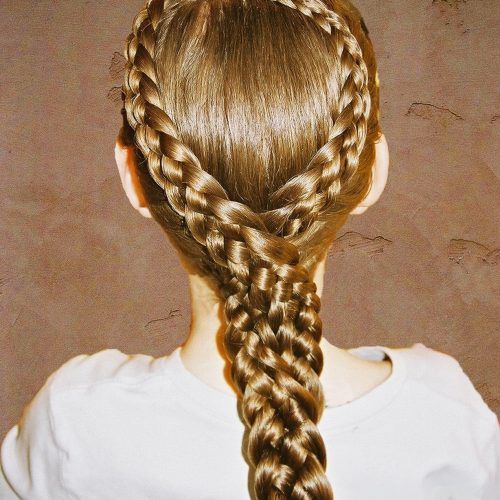 Fantastical French Braid Ponytail Hairstyles (Photo 20 of 20)