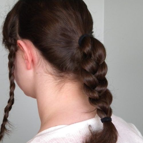 Braided Victorian Hairstyles (Photo 8 of 15)