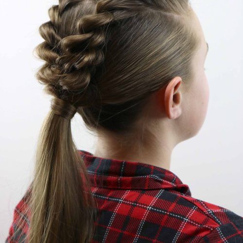 Twist-Into-Ponytail Hairstyles (Photo 13 of 20)