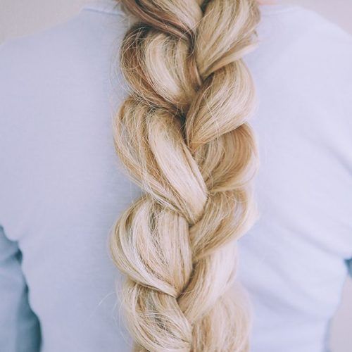 Double Rose Braids Hairstyles (Photo 6 of 20)